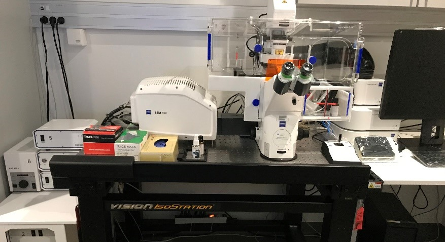 Laser scanning confocal microscope Zeiss LSM 800