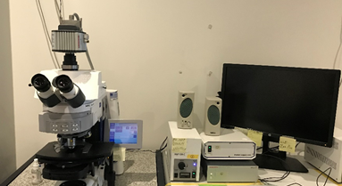 Upright fluorescence microscope Zeiss AxioImager M2