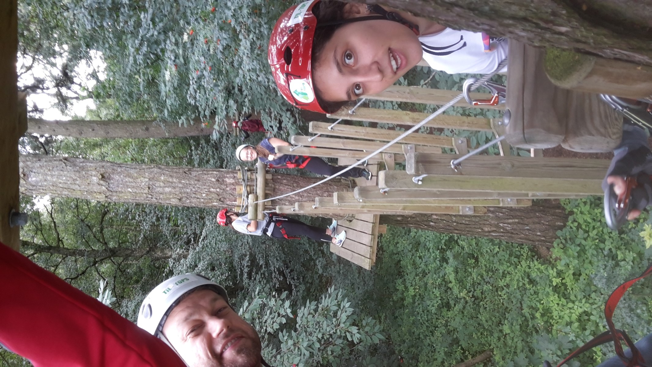 Andersen group doing tree climbing