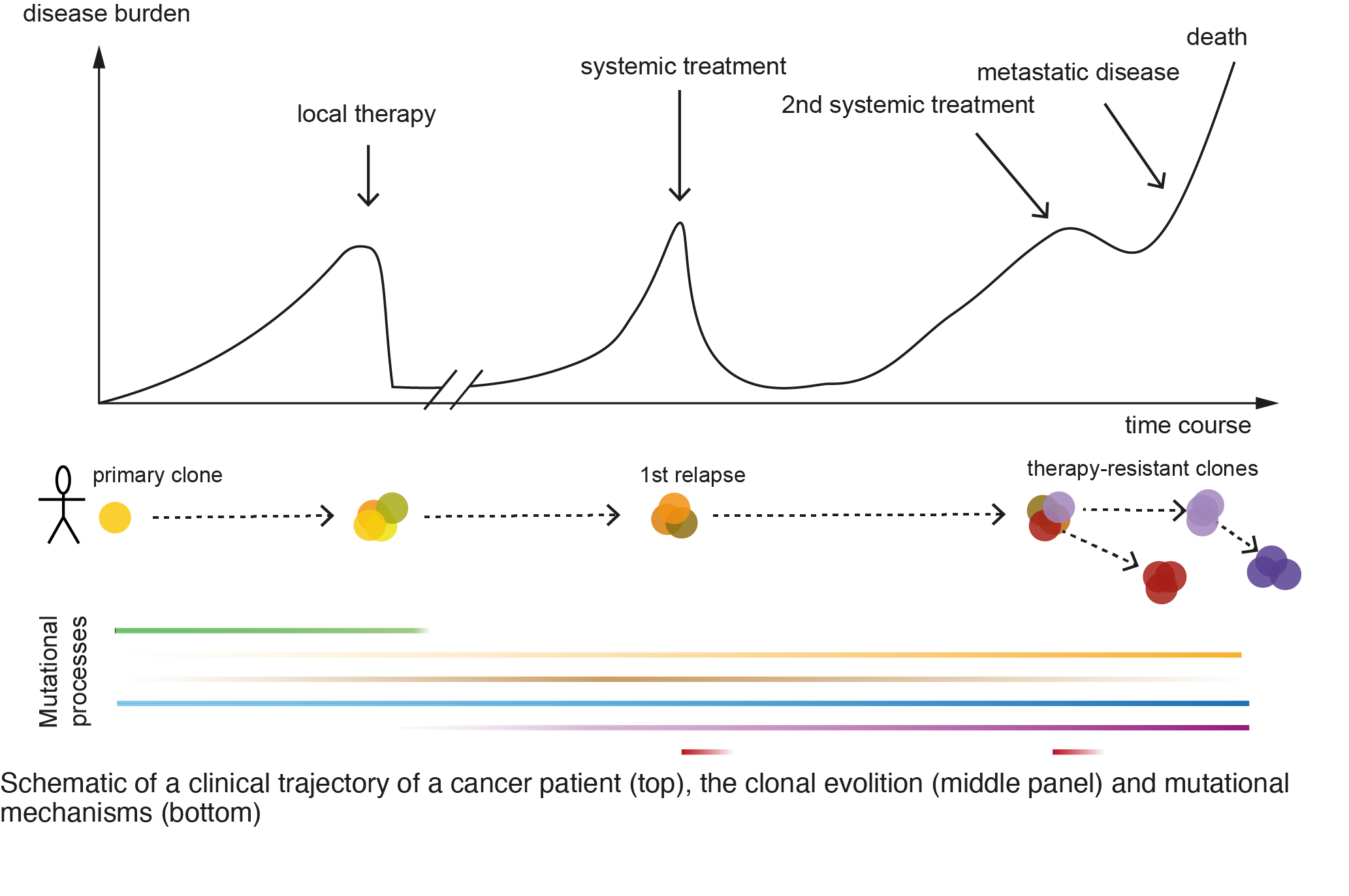 Schematic of a clinical trajectory of a cancer patient (top), the clonal evolition (middle part) and mutational mechanisms (bottom). For detailed description please contact communication@bric.ku.dk