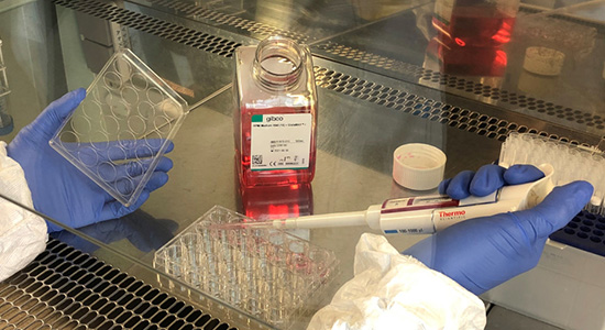 Lab