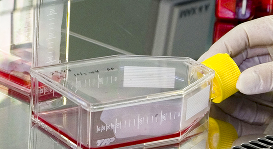 Lab