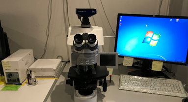 Upright fluorescence microscope Zeiss AxioImager M2