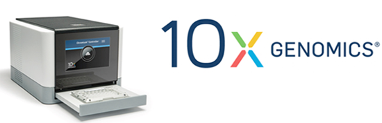 10x logo