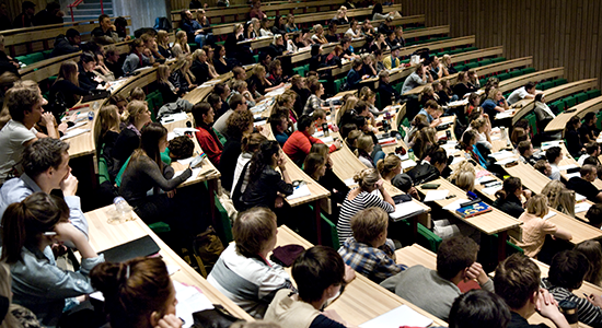 Education at BRIC