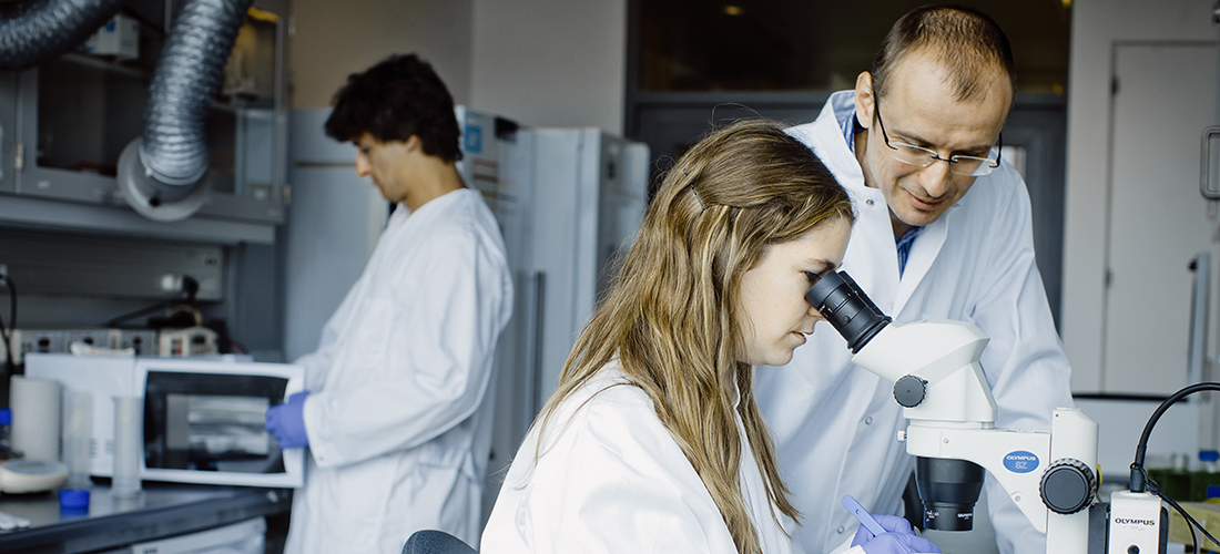 members of lab group working in lab