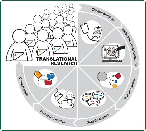 Translational medicine and systems biology approaches applied in the group