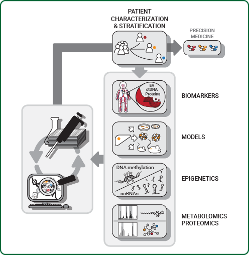 Research approaches used in the group to understand molecular pathogenesis of hepatobiliary malignancies