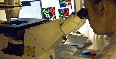 Researcher looking in microscope