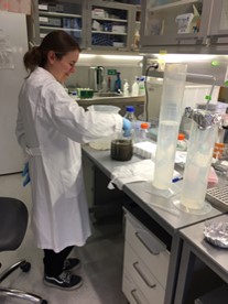 Lisa preparing frogs