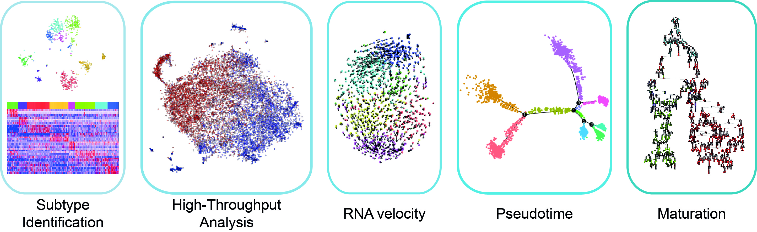 Computational analysis of single cell omics data