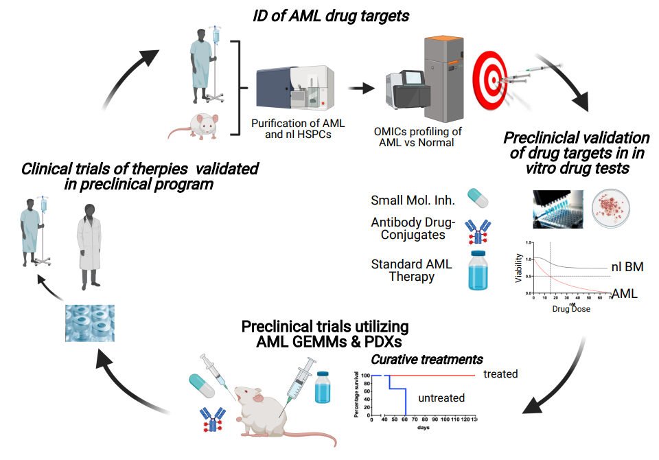 Explanation of ID of AML drug targets. Contact communication@bric.ku.dk for further explanation.