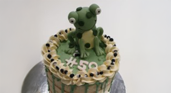Frogg cake
