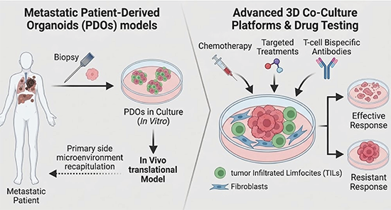 Precision Cancer Medicine