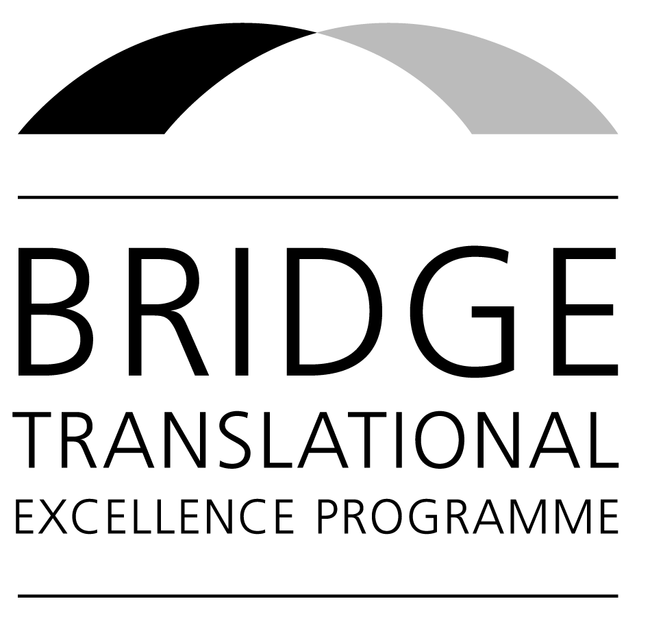 BRIDGE logo